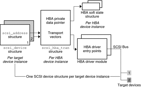 Diagram shows the relationships of structures involved in the HBA transport layer.